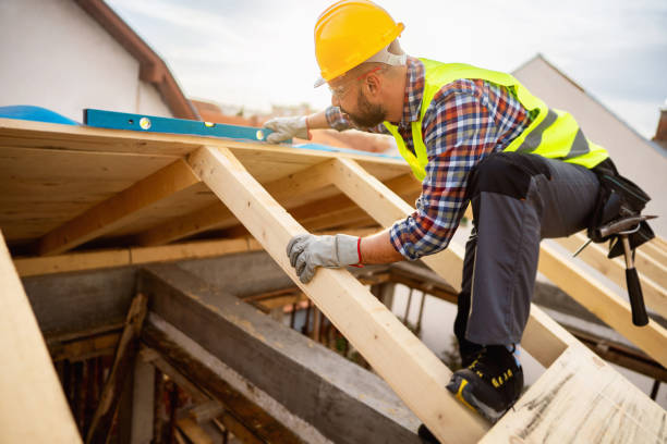 Best New Roof Installation  in Laredo, TX